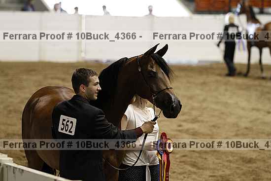 Proof 10buck_4366