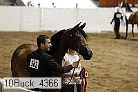 10buck_4366 proof