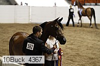 10buck_4367 proof