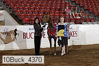 10buck_4370 proof