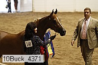 10buck_4371 proof
