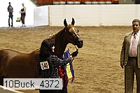 10buck_4372 proof