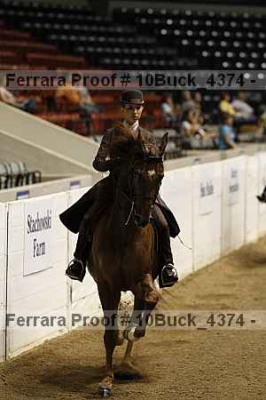 Proof 10buck_4374