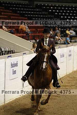 Proof 10buck_4375
