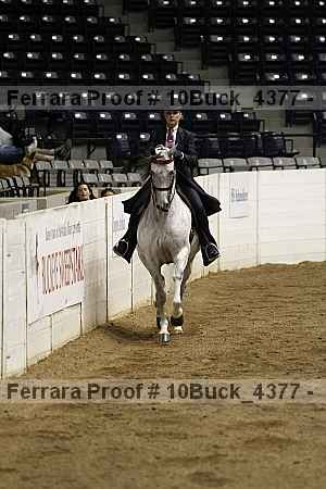Proof 10buck_4377