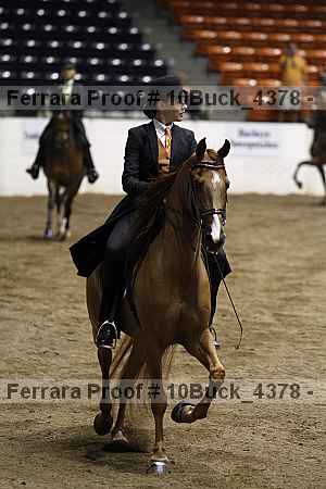 Proof 10buck_4378