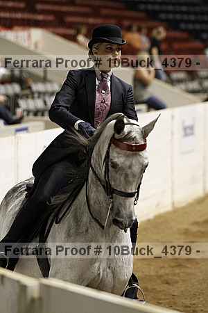 Proof 10buck_4379
