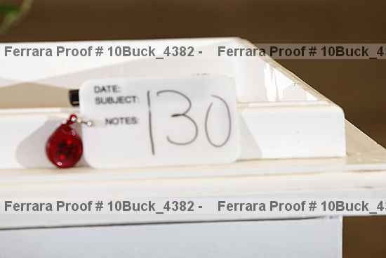 Proof 10buck_4382