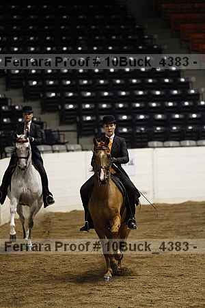 Proof 10buck_4383