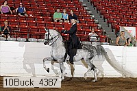 10buck_4387 proof