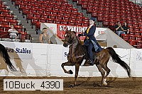 10buck_4390 proof