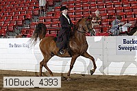 10buck_4393 proof