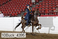 10buck_4395 proof