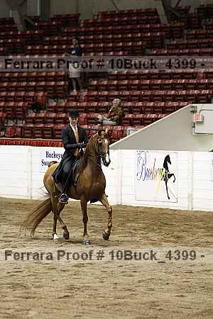 Proof 10buck_4399