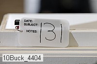 10buck_4404 proof