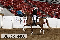 10buck_4406 proof