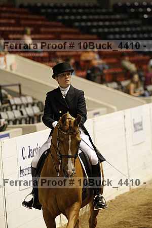 Proof 10buck_4410