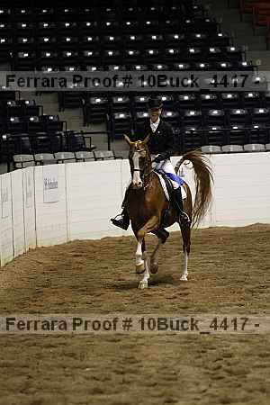 Proof 10buck_4417