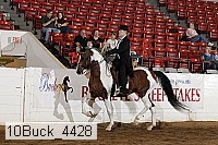 10buck_4428 proof