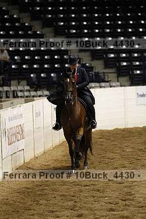 Proof 10buck_4430