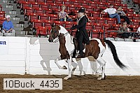 10buck_4435 proof