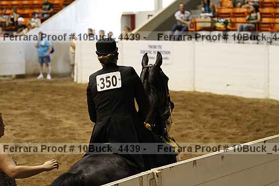 Proof 10buck_4439