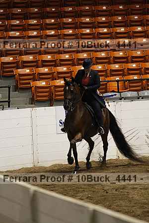 Proof 10buck_4441