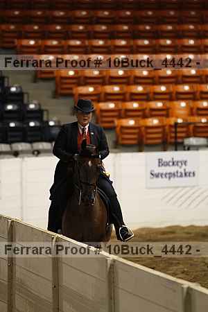 Proof 10buck_4442