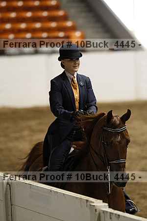 Proof 10buck_4445
