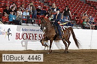 10buck_4446 proof