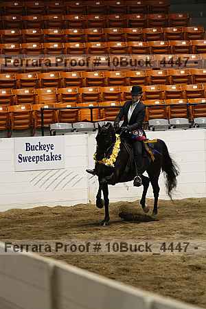 Proof 10buck_4447