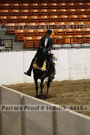 Proof 10buck_4448