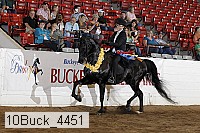 10buck_4451 proof
