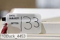 10buck_4453 proof