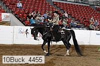 10buck_4455 proof