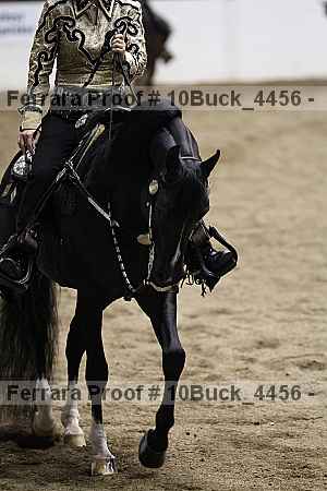 Proof 10buck_4456