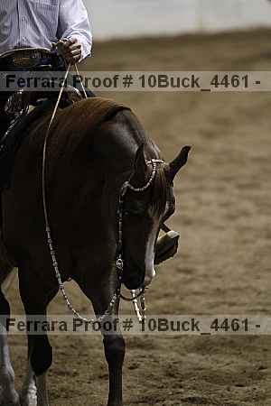 Proof 10buck_4461