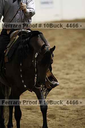 Proof 10buck_4466