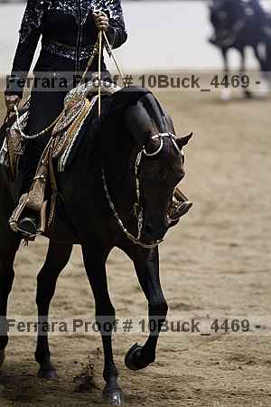 Proof 10buck_4469