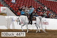 10buck_4471 proof