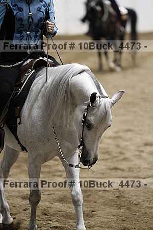 Proof 10buck_4473