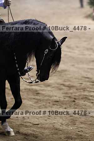 Proof 10buck_4478