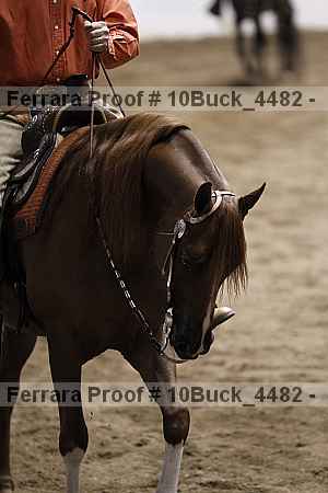 Proof 10buck_4482