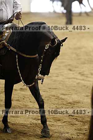 Proof 10buck_4483