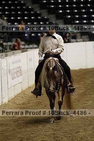 Proof 10buck_4486