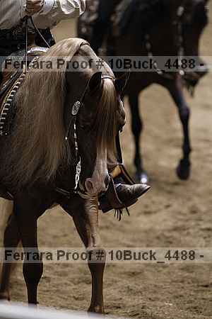 Proof 10buck_4488