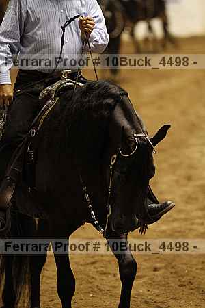 Proof 10buck_4498