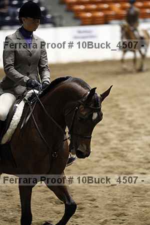 Proof 10buck_4507