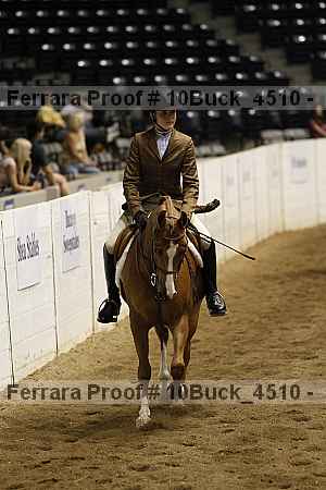 Proof 10buck_4510