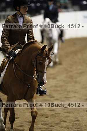 Proof 10buck_4512